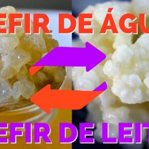 Combo Kefir de Água e Kefir de Leite