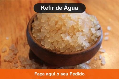 Kefir de Água (Tibicos) - Doação de Kefir de Água em Cromínia - Goiás