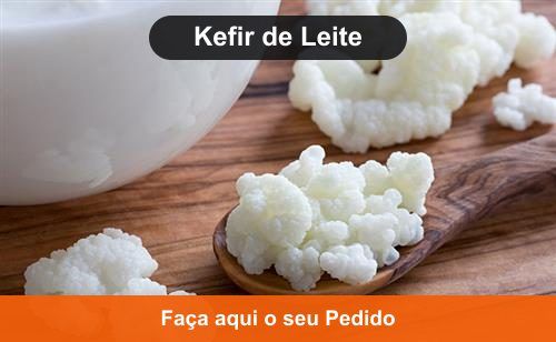 Kefir de Leite - Doação de Kefir de Água em Cromínia - Goiás