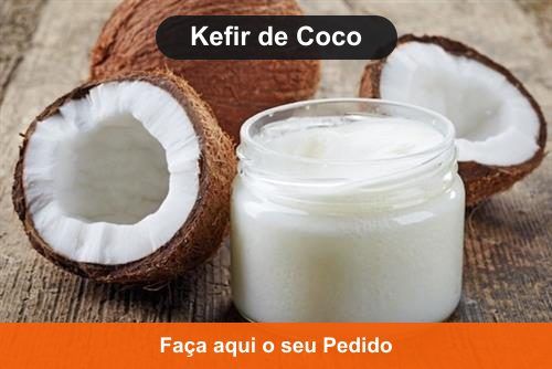Kefir de Leite de Coco - Doação de Kefir de Água em Cromínia - Goiás