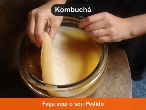 Kombuchá - Doação de Kefir de Água em Cromínia - Goiás